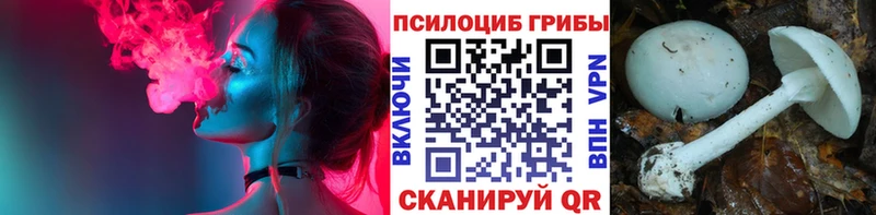 Купить где  Саров  Псилоцибиновые грибы Cubensis 